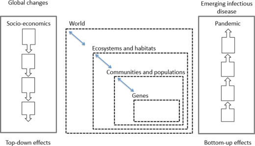 Figure 3.8.