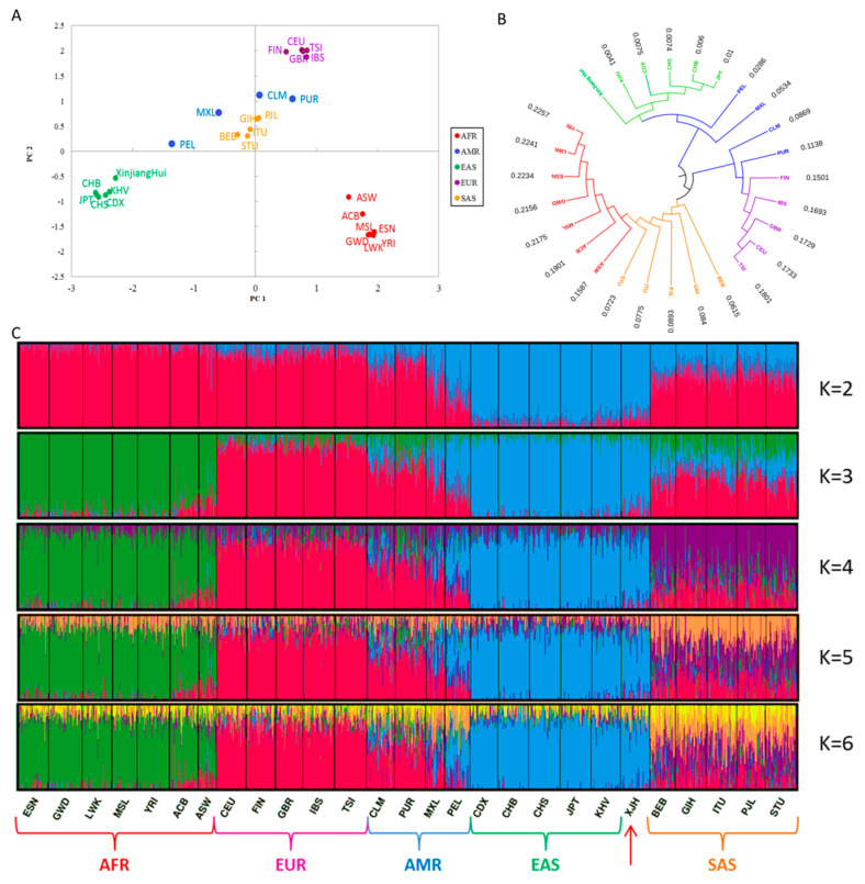 Figure 4