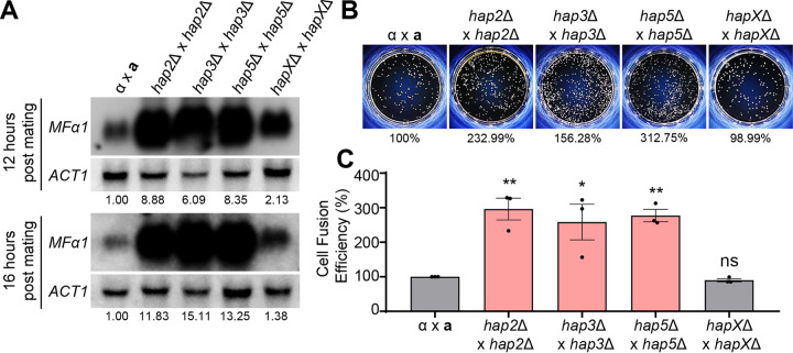 FIG 3