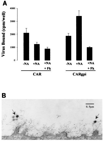 FIG. 6