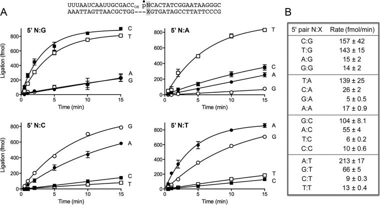 FIG 2