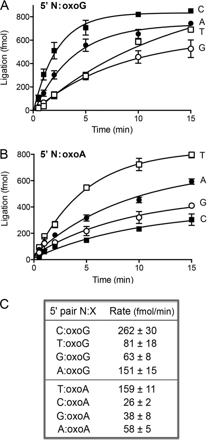 FIG 4