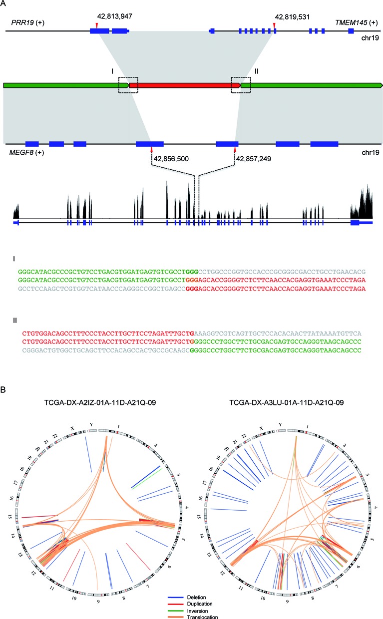 Figure 3.