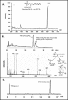 FIG. 8.
