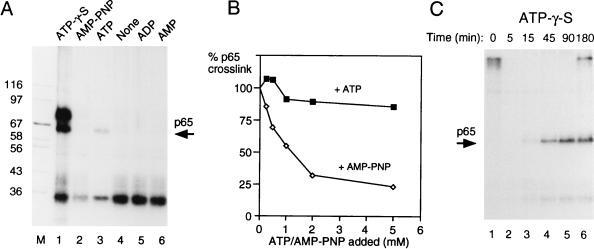 FIG. 8