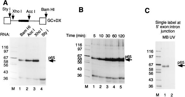 FIG. 4