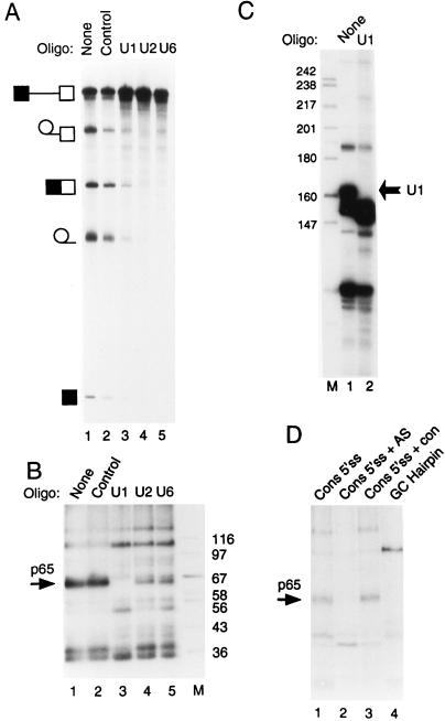 FIG. 6