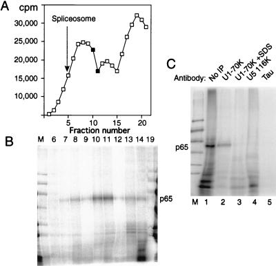 FIG. 7