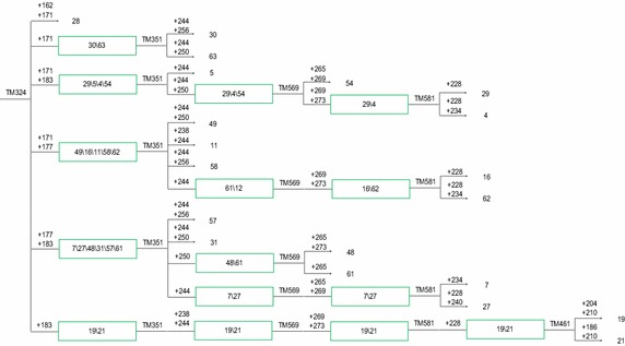 Fig. 4