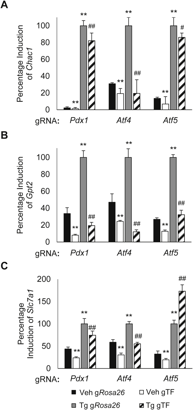 Figure 4