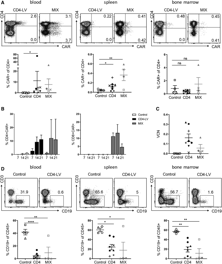 Figure 6