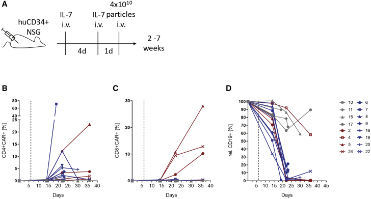 Figure 5