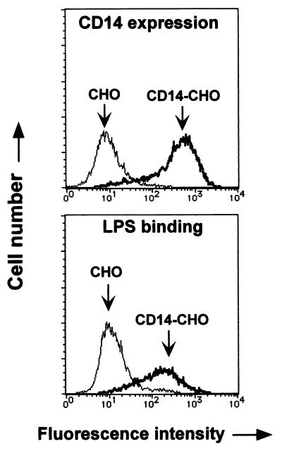 FIG. 1