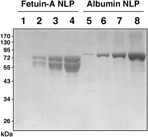 Figure 21