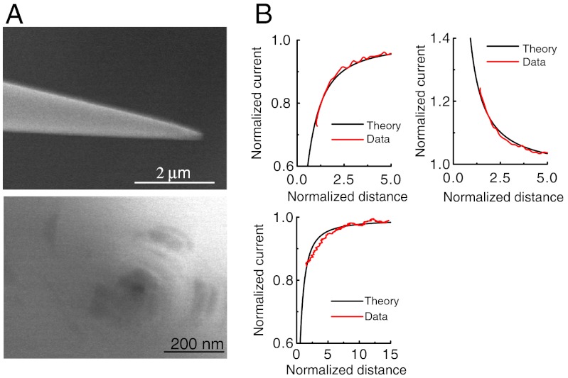 Fig. 1.