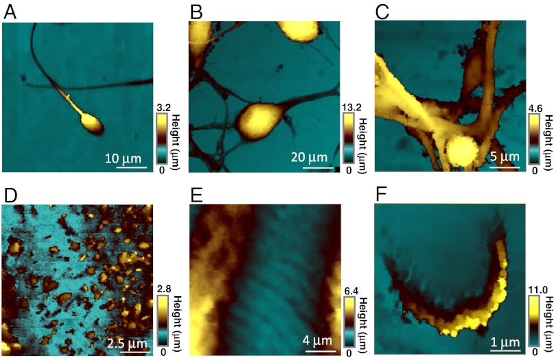 Fig. 2.