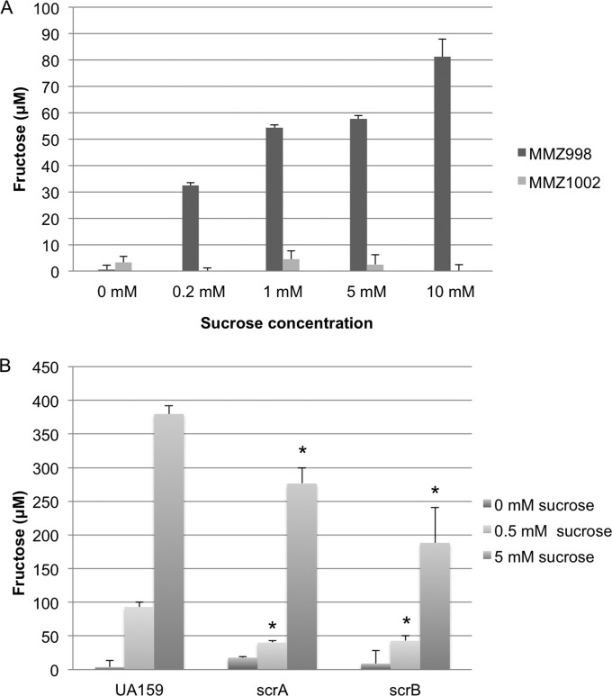 FIG 1