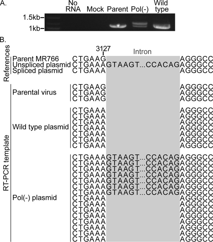 FIG 3 