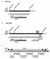 FIG. 1