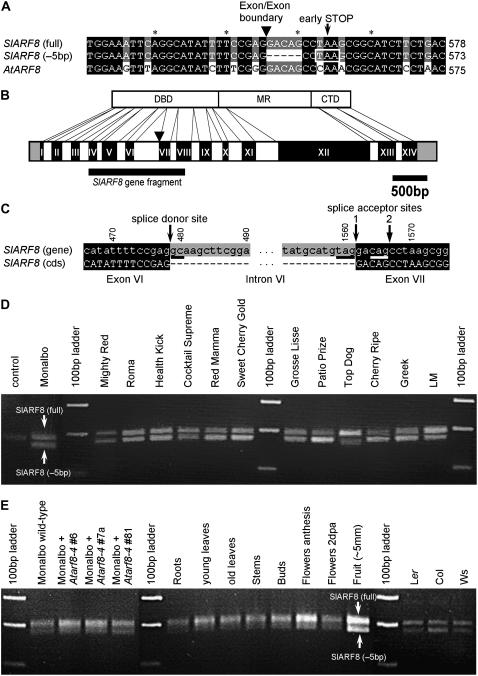 Figure 6.