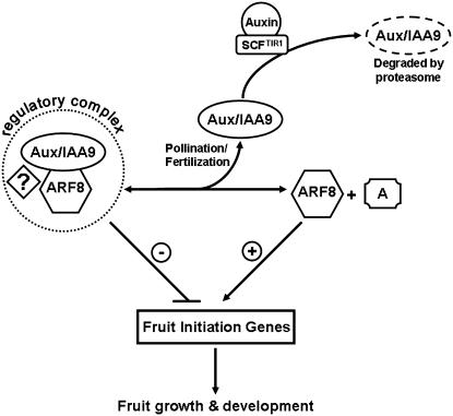 Figure 7.