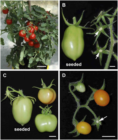 Figure 4.