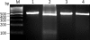 Fig. 5.