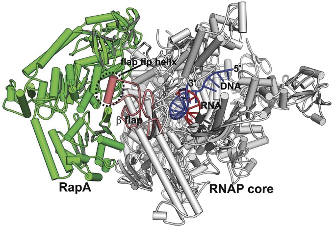 Fig. 1.