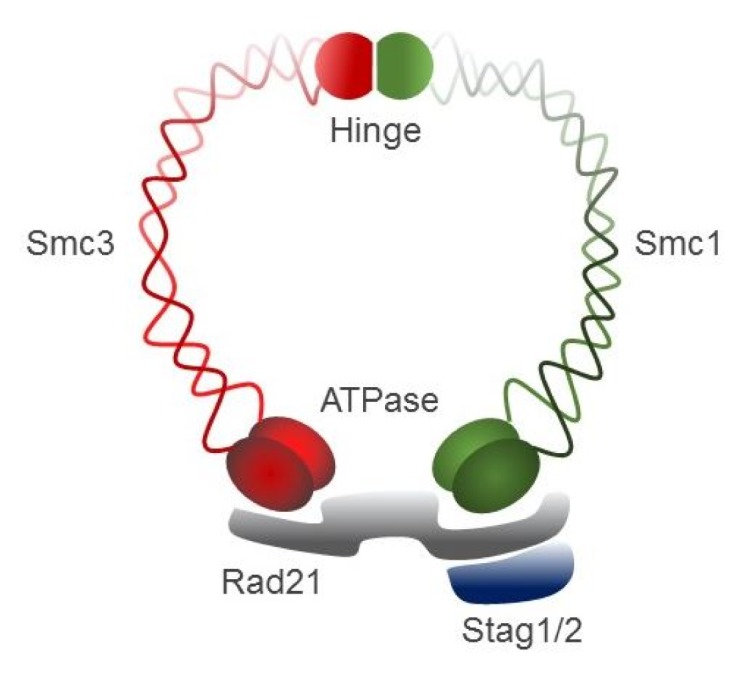 Fig. 4