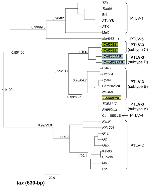 Figure 4