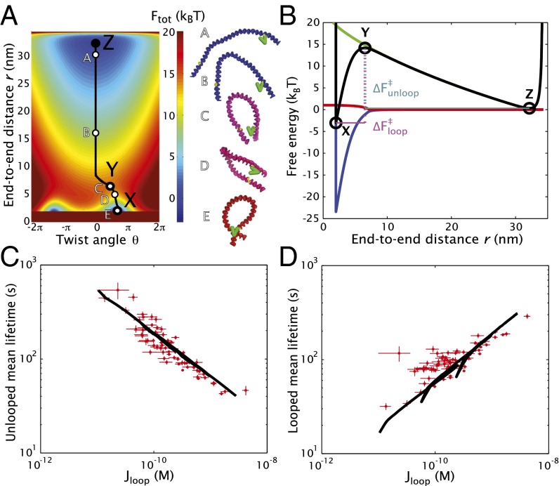 Fig. 4.