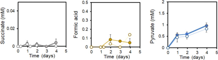 Figure 5—figure supplement 2.