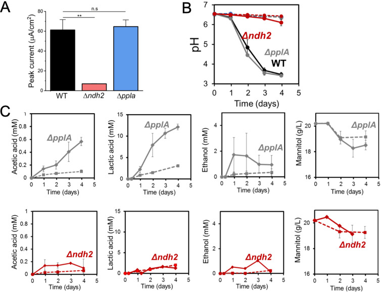 Figure 3—figure supplement 2.