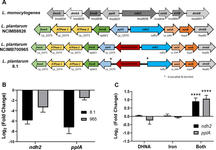 Figure 2—figure supplement 2.