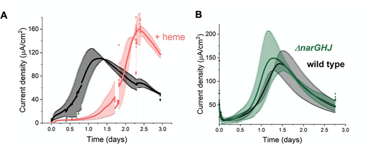 Figure 5—figure supplement 1.