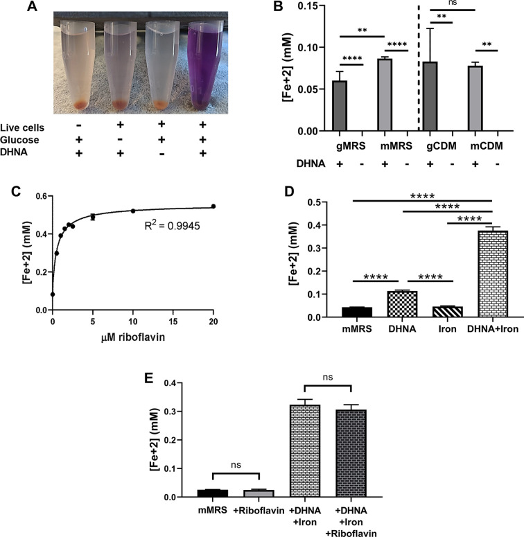 Figure 1—figure supplement 1.