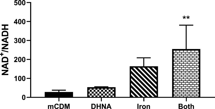 Figure 4—figure supplement 3.