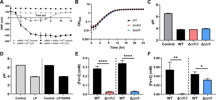 Figure 3—figure supplement 1.