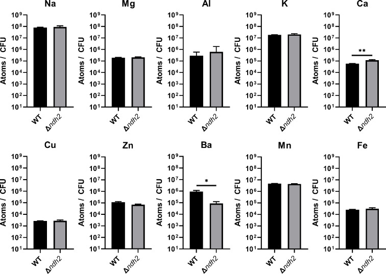 Figure 4—figure supplement 2.