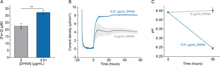 Figure 1—figure supplement 3.