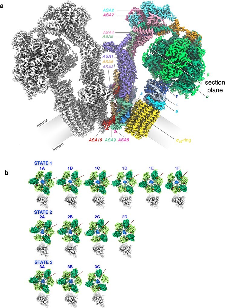 Fig. 13.