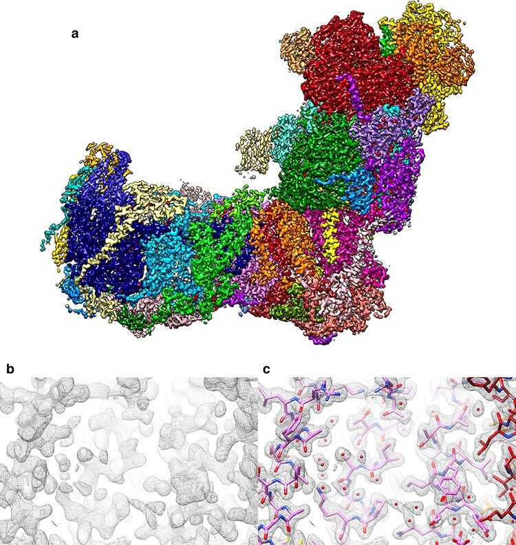 Fig. 10.