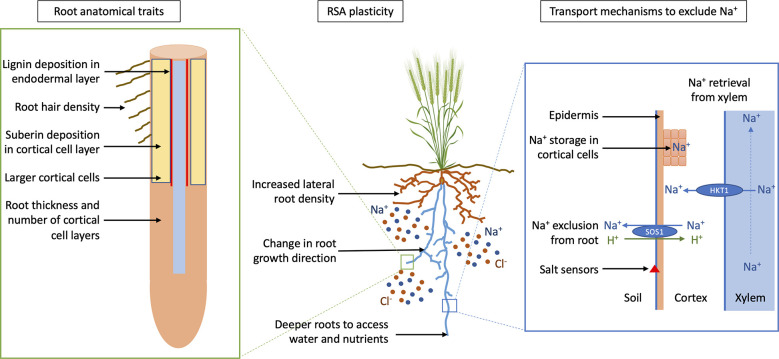 Figure 3