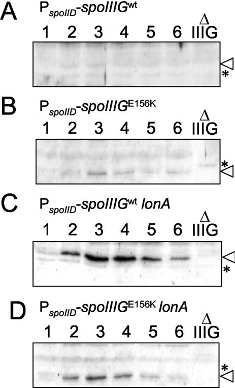 FIG. 8.