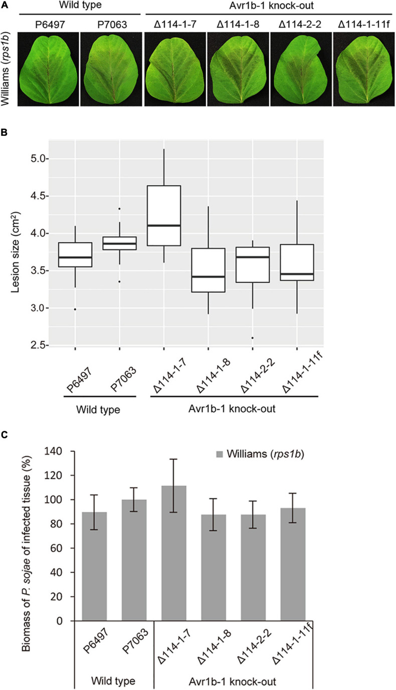 FIGURE 3