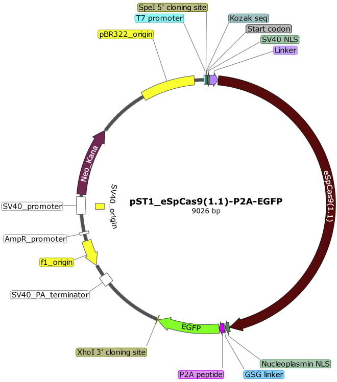 Figure 2