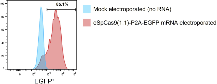 Figure 5