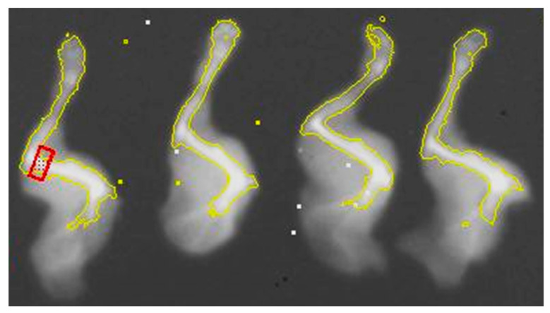 Figure 2