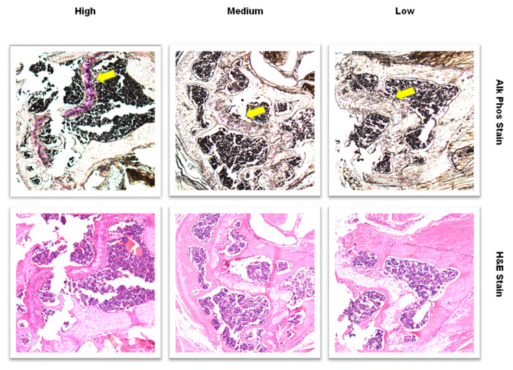 Figure 12