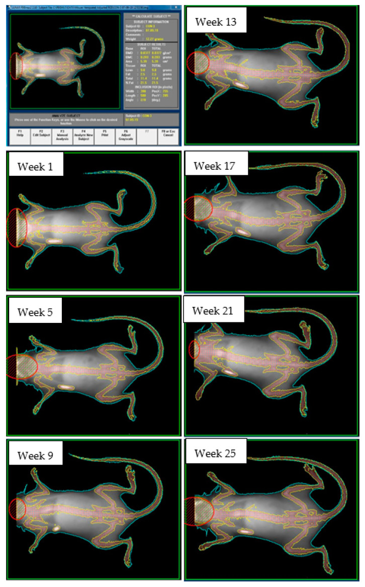 Figure 6